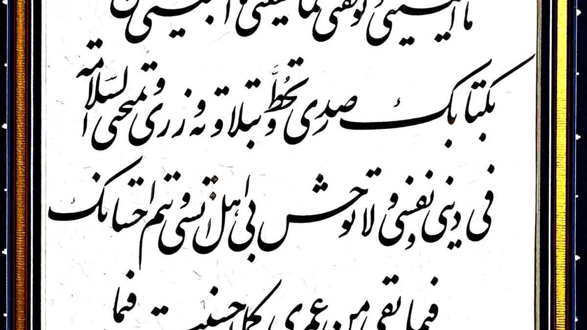 رضا شیخ‌محمدی - قم